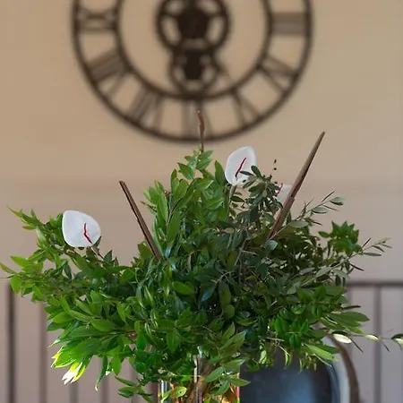 Villa Madra Bonifacio  Zimmer foto