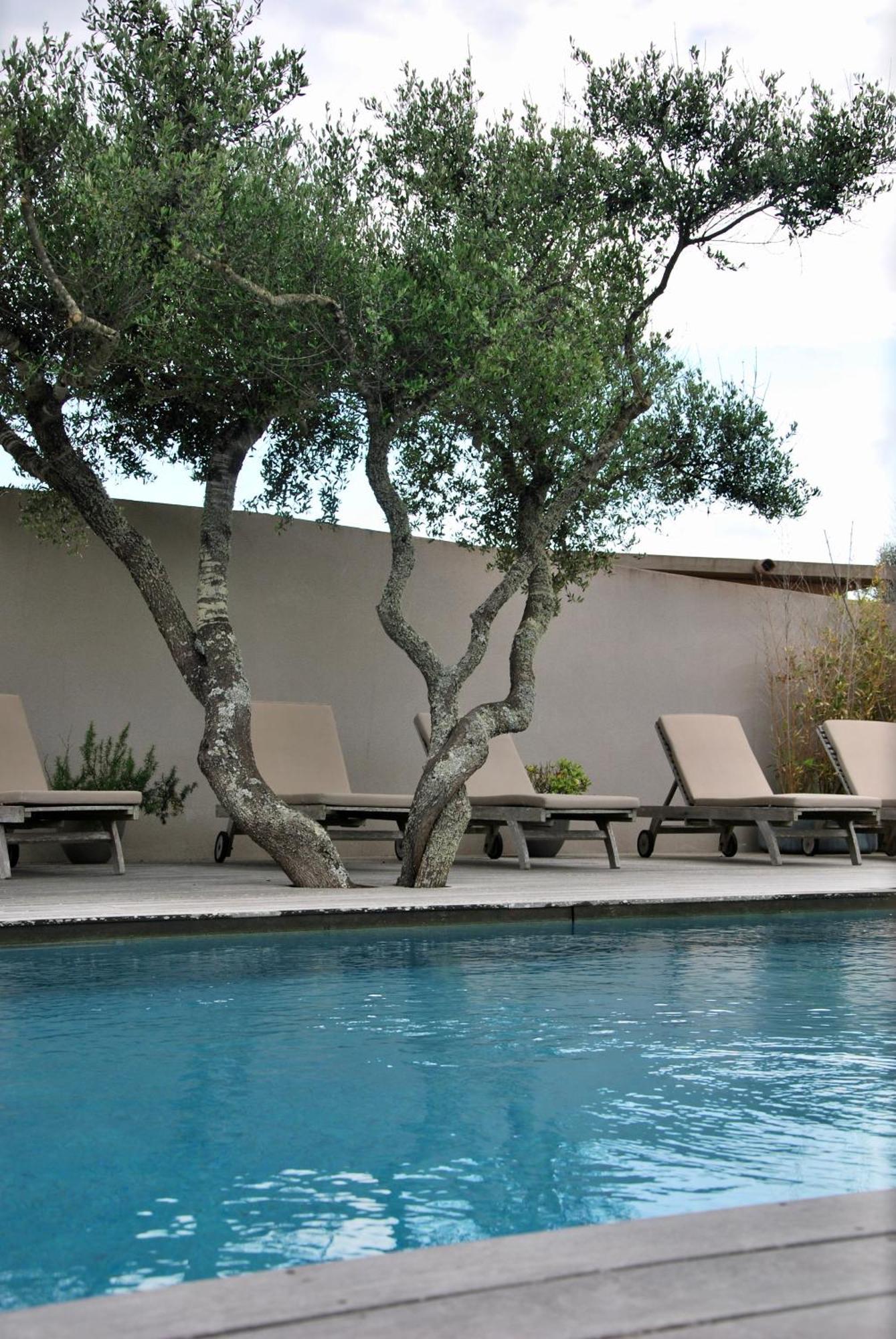 Madra Villa